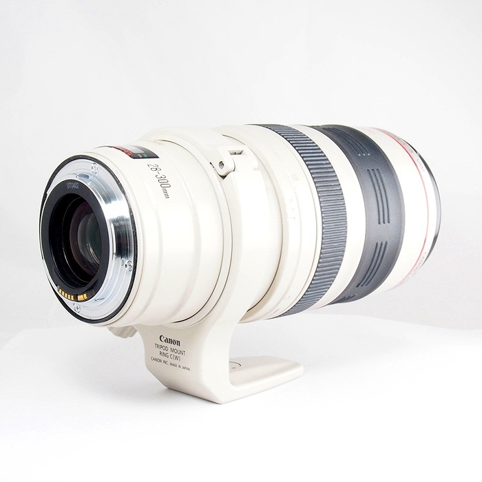 キヤノン EF28-300/3.5-5.6L IS USM