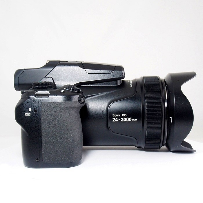 ニコン COOLPIX P1000