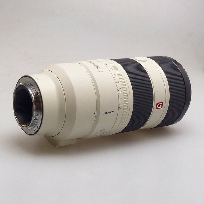 ソニー FE70-200/F2.8 GM OSS II