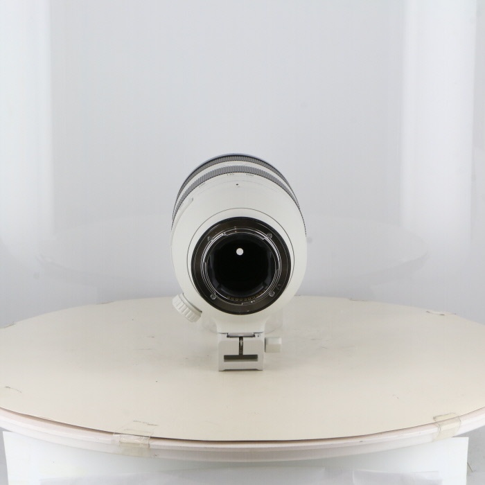 ソニー FE100-400/4.5-5.6 GM OSS