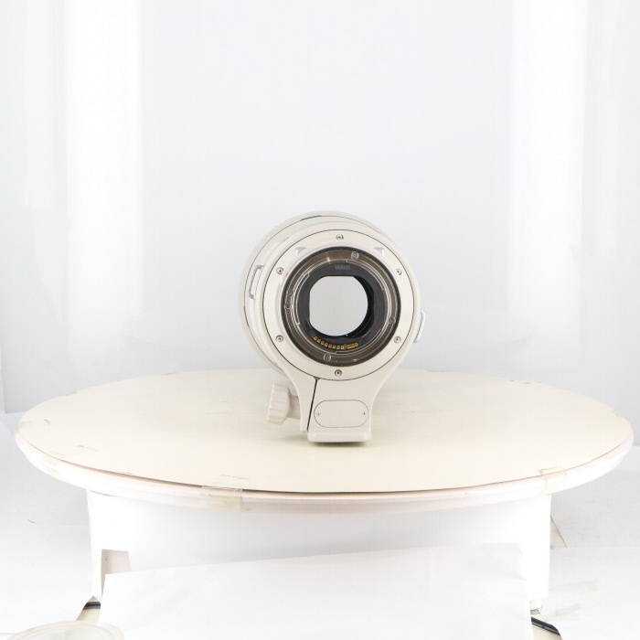 キヤノン EF300/2.8L IS USM