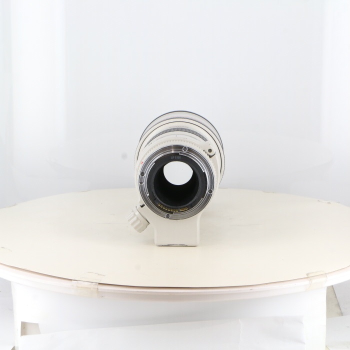 キヤノン EF300/4L USM