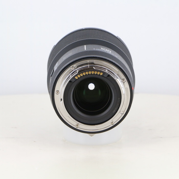 パナソニック S 100/2.8 MACRO (S-E100)