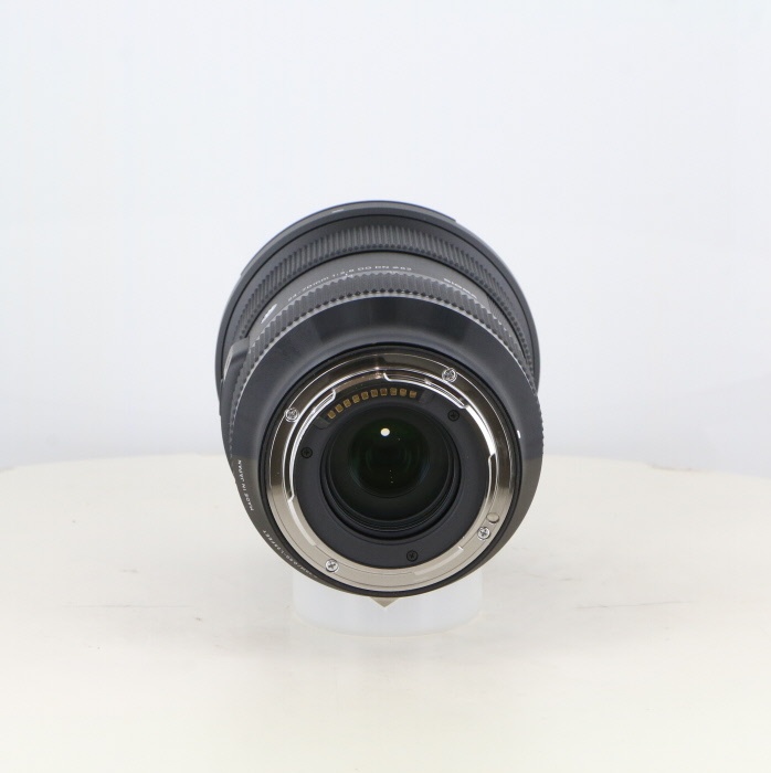 シグマ A24-70/2.8 DG DN TLマウント用