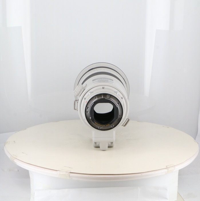 キヤノン EF300/2.8L IS II USM