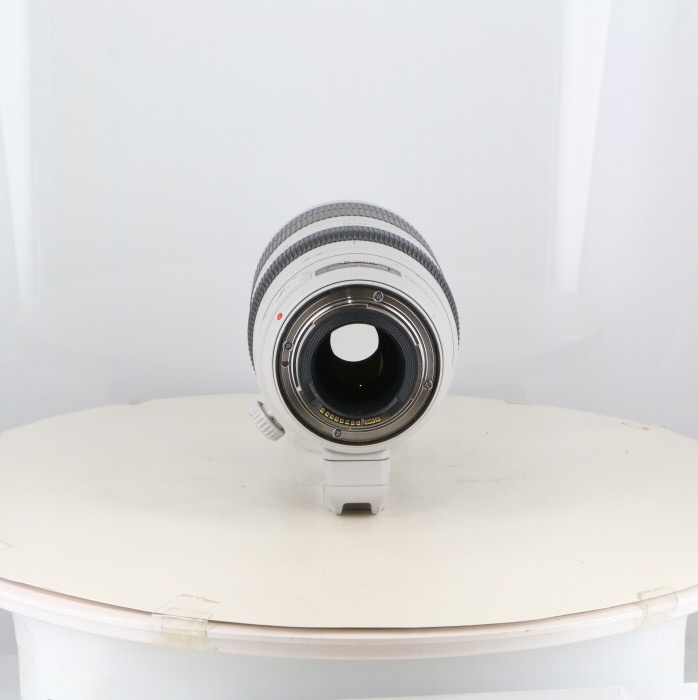 キヤノン EF100-400/4.5-5.6L IS II USM