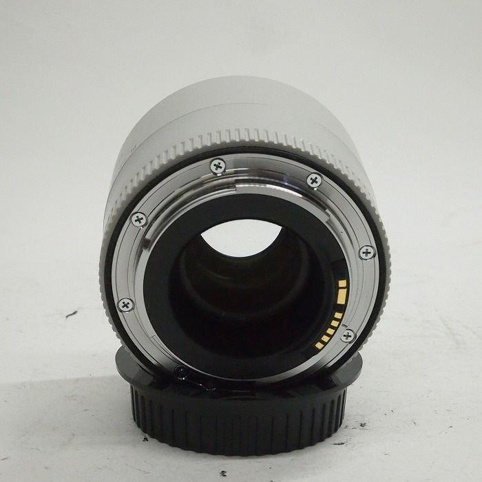 キヤノン エクステンダー EF2X III