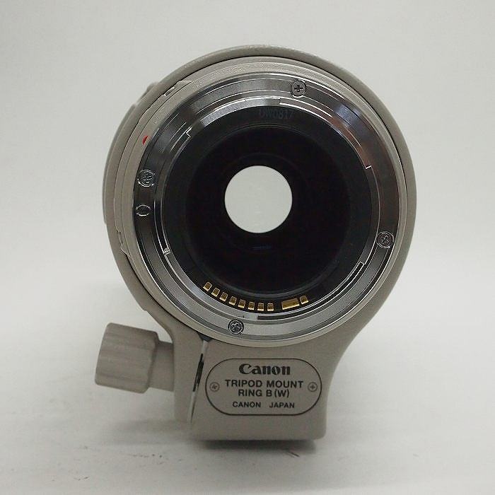 キヤノン EF100-400/F4.5-5.6L IS USM