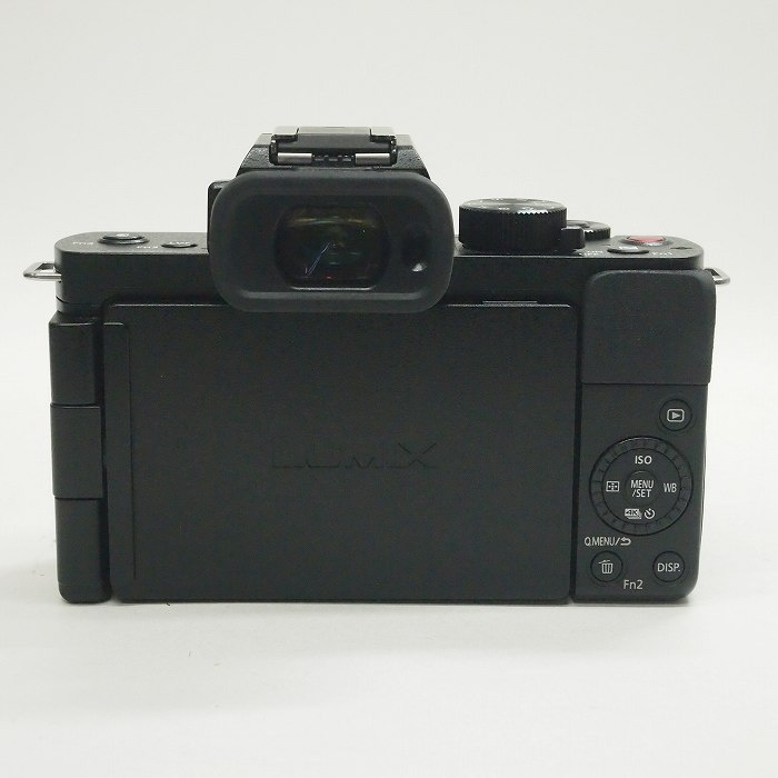 パナソニック DC-G100