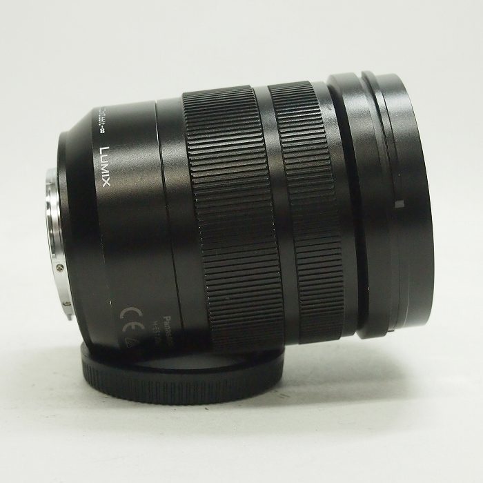 パナソニック DG VARIO-ELMARIT 12-60/2.8-4.0 H-ES12060 レンズ