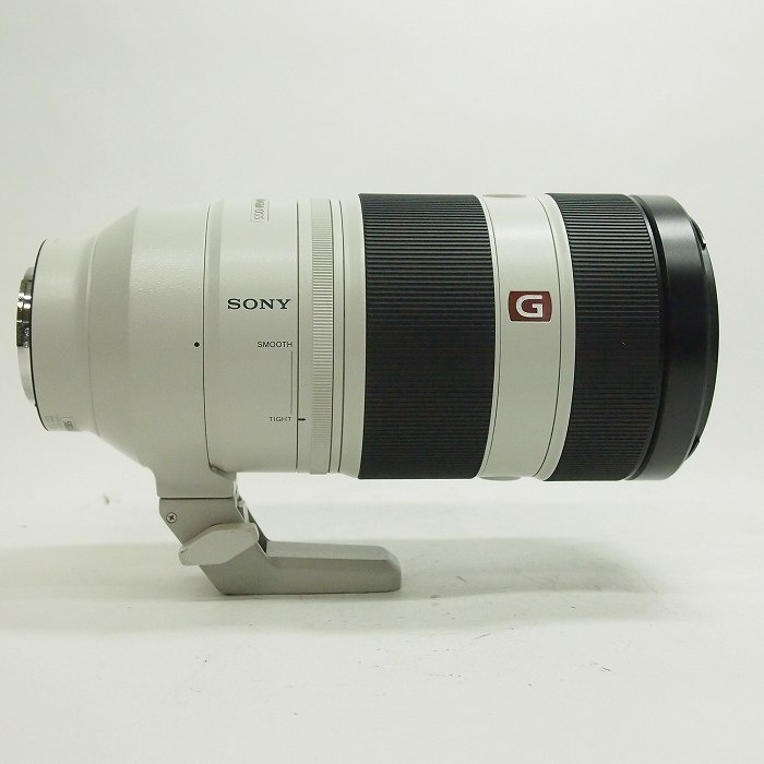 ソニー FE100-400/4.5-5.6 GM OSS