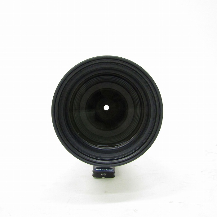 キヤノン RF100-300/F2.8L IS USM