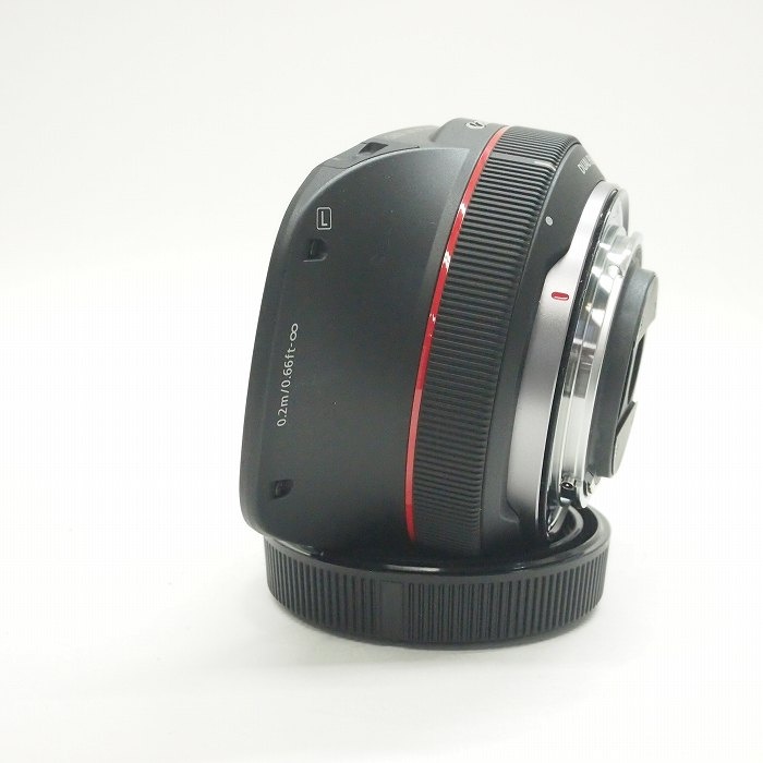 キヤノン RF5.2/2.8L DUAL FISHEYE