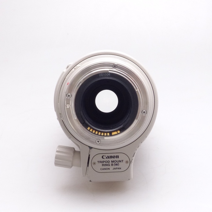 キヤノン EF 100-400/4.5-5.6L IS USM