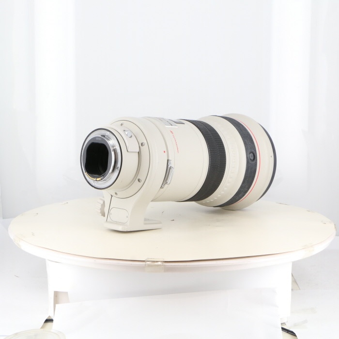キヤノン EF300/2.8L IS USM