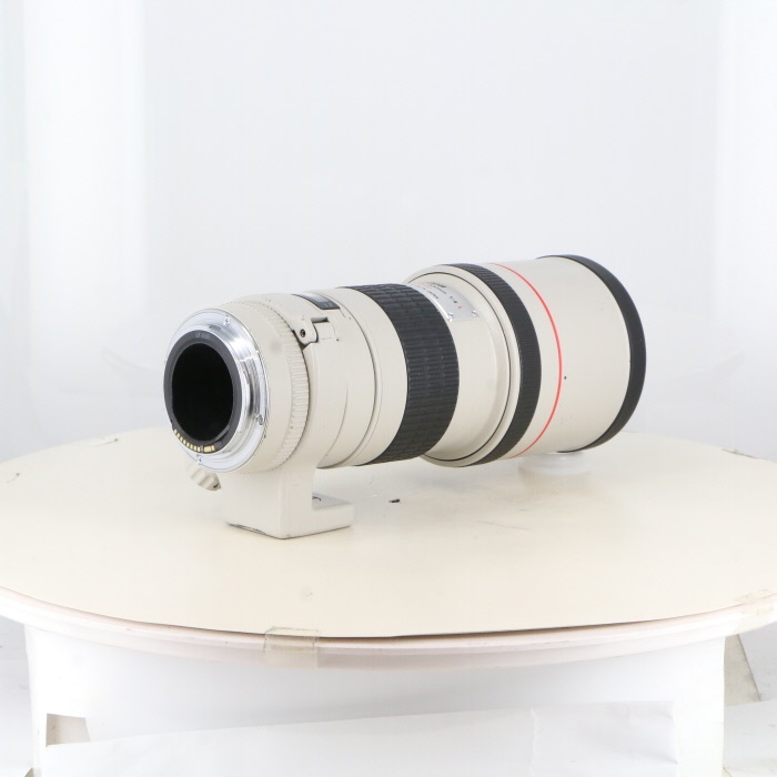 キヤノン EF300/4L USM