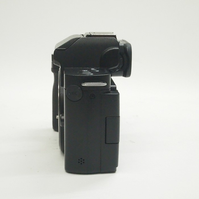 パナソニック DC-G100