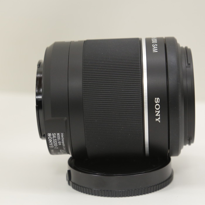 ソニー DT55-200/F4-5.6 II