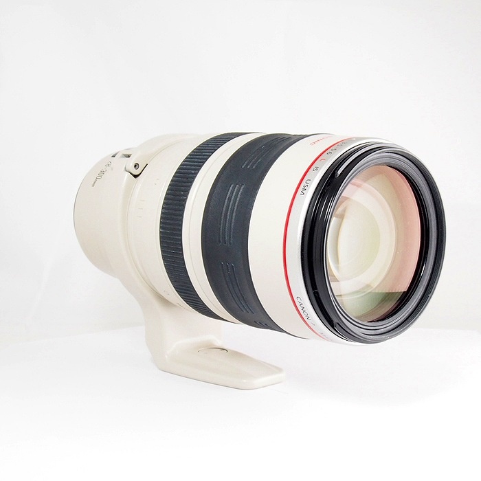 キヤノン EF28-300/3.5-5.6L IS USM
