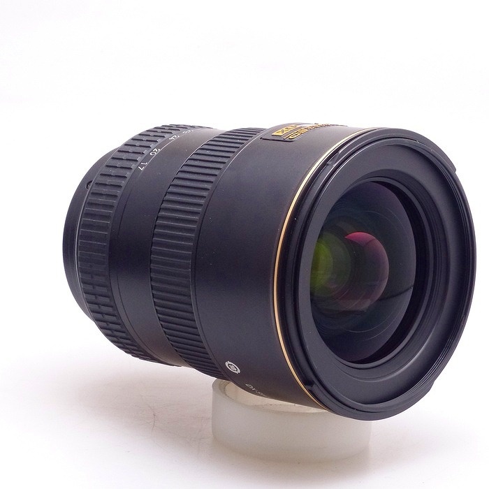 ニコン AF-S DX 17-55/F2.8G IF-ED