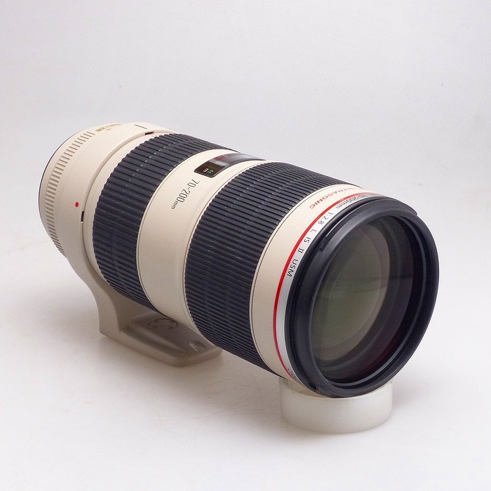 キヤノン EF 70-200/2.8L IS II USM