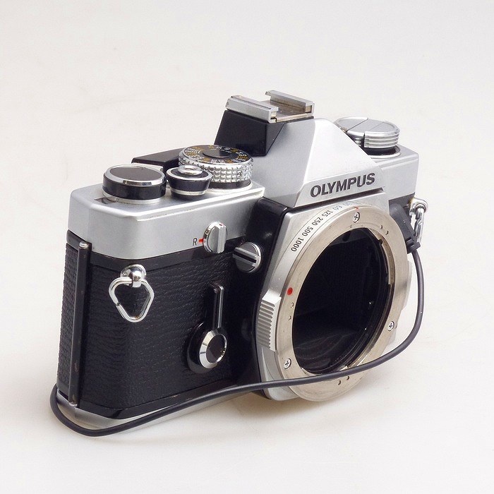 オリンパス M-1 データバック3付