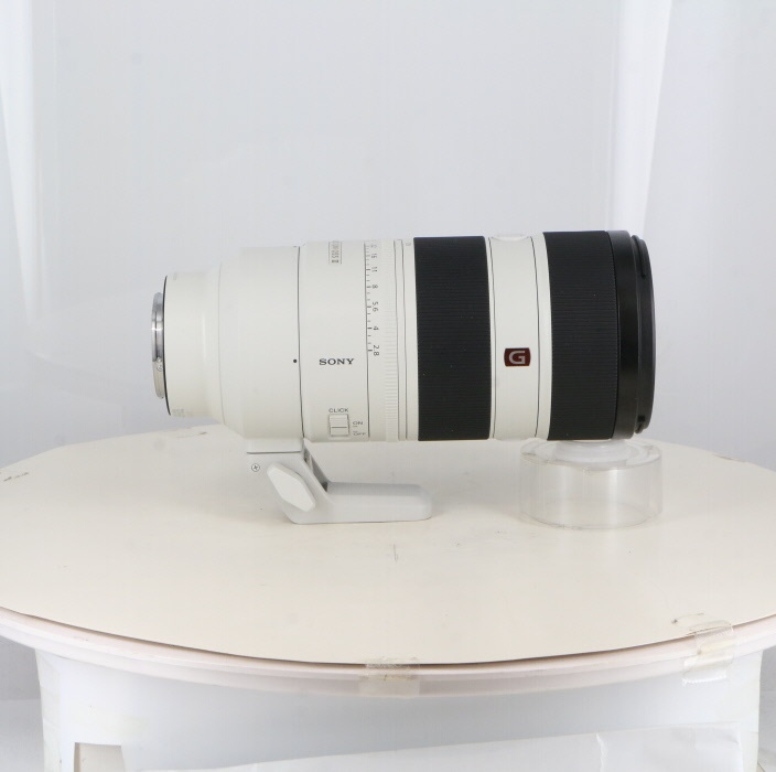 ソニー FE70-200/2.8 GM OSS II