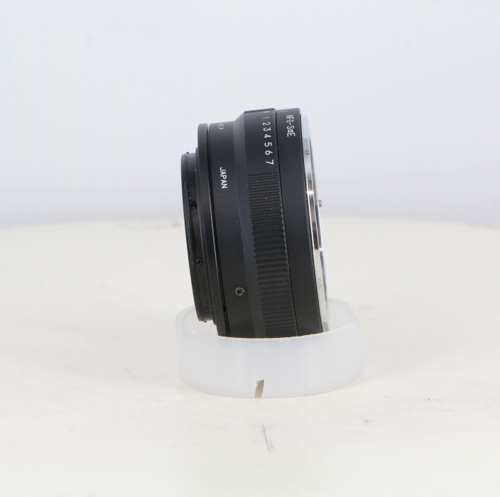 RAYQUAL マウントアダプター NFG-SαE