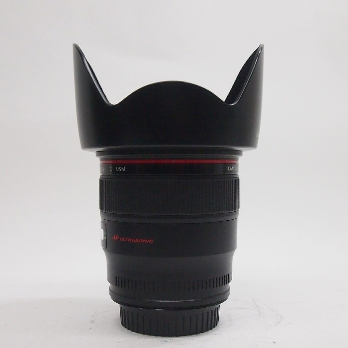 キヤノン EF24/1.4L II USM