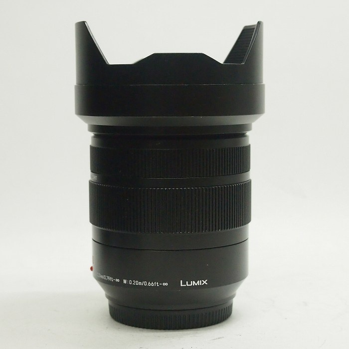 パナソニック DG VARIO-ELMARIT 12-60/2.8-4.0 H-ES12060 レンズ