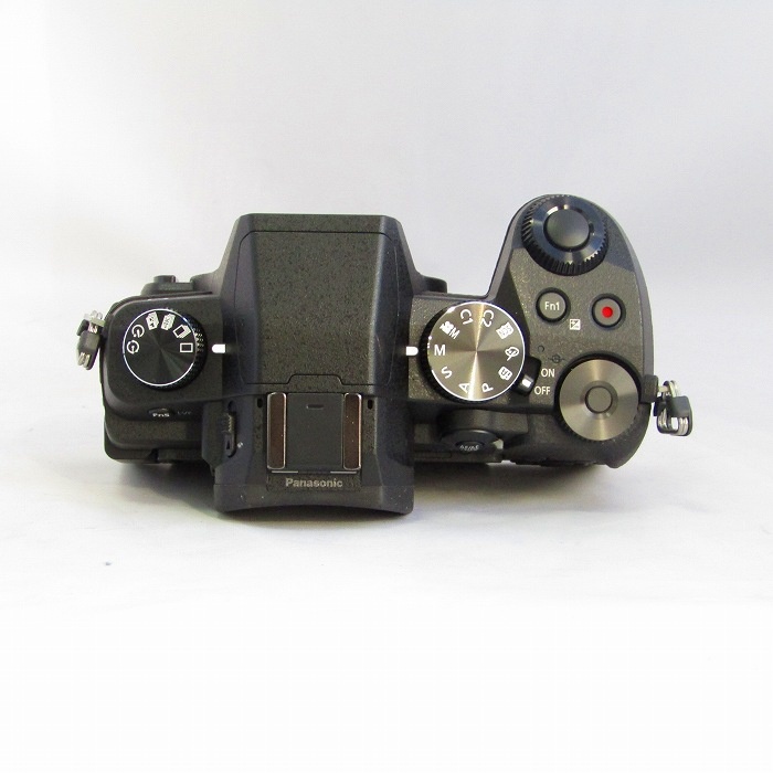 パナソニック DMC-G8