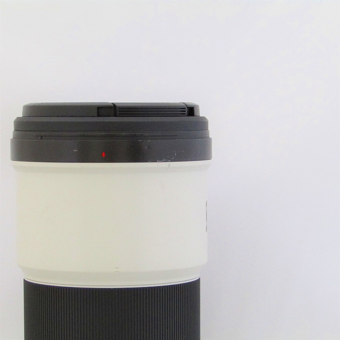 ソニー FE200-600/5.6-6.3 G OSS