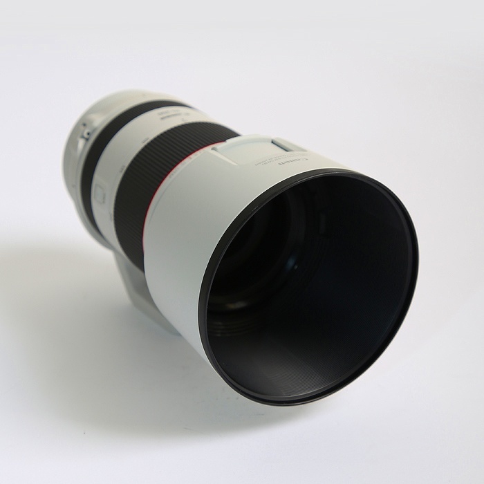 キヤノン RF70-200/F2.8L IS USM