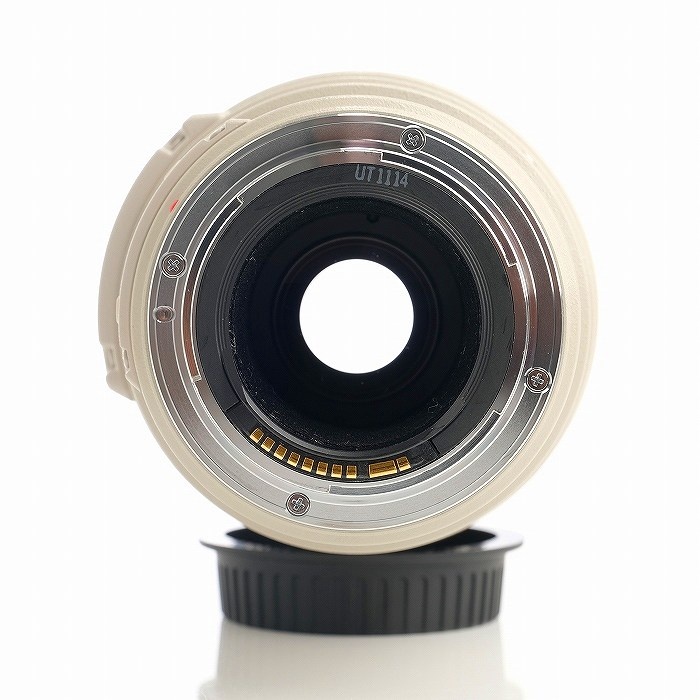 キヤノン EF100-400/4.5-5.6L IS USM