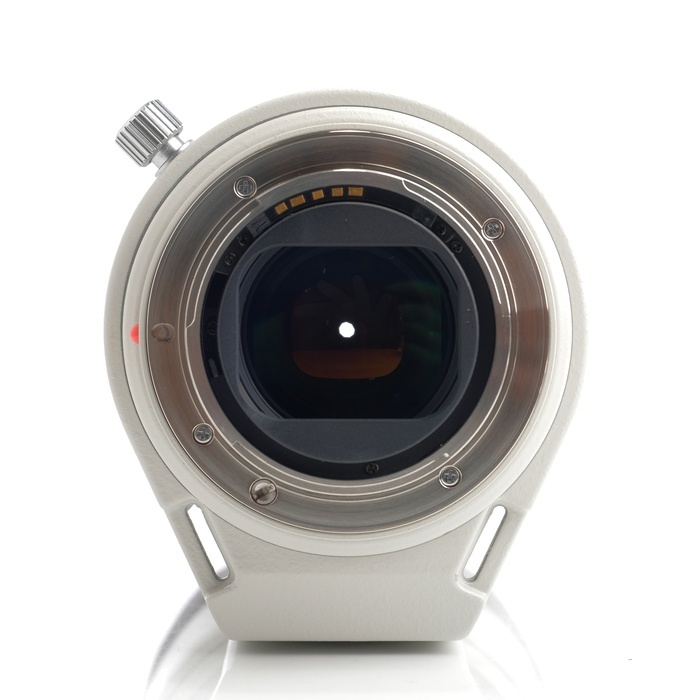 ミノルタ AF 80-200/2.8 APO G HS