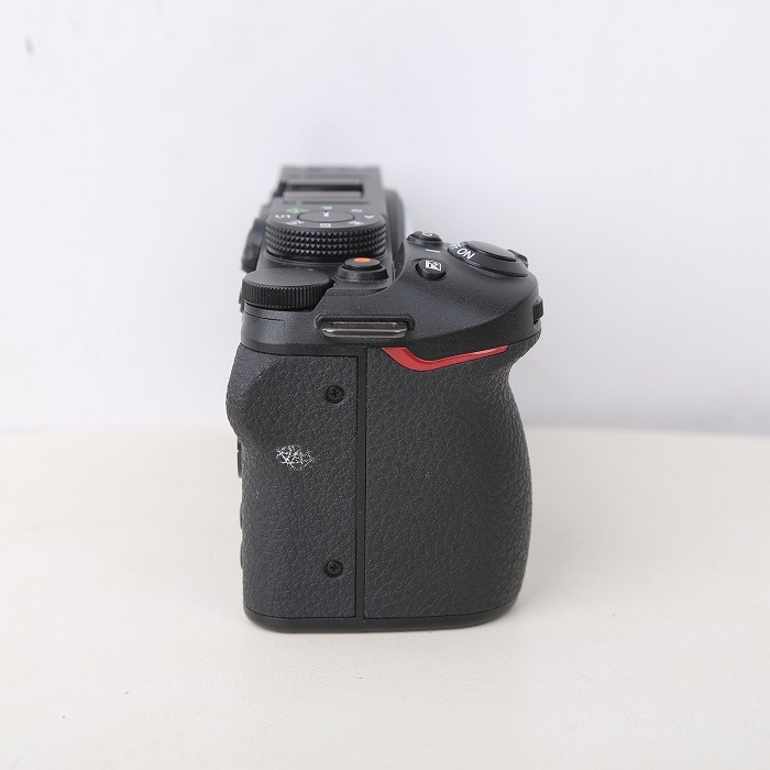 ニコン Z 30 ボデイ