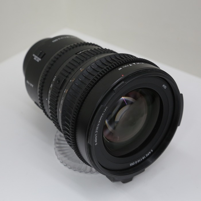 ソニー E PZ18-110/F4 G OSS