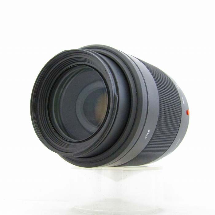 ソニー DT55-200/4-5.6