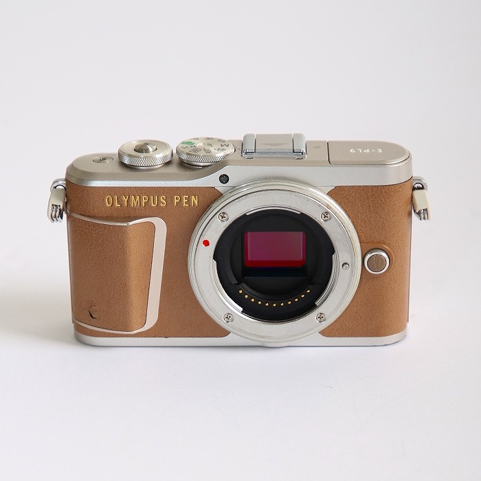 オリンパス E-PL9 ボデイ ブラウン