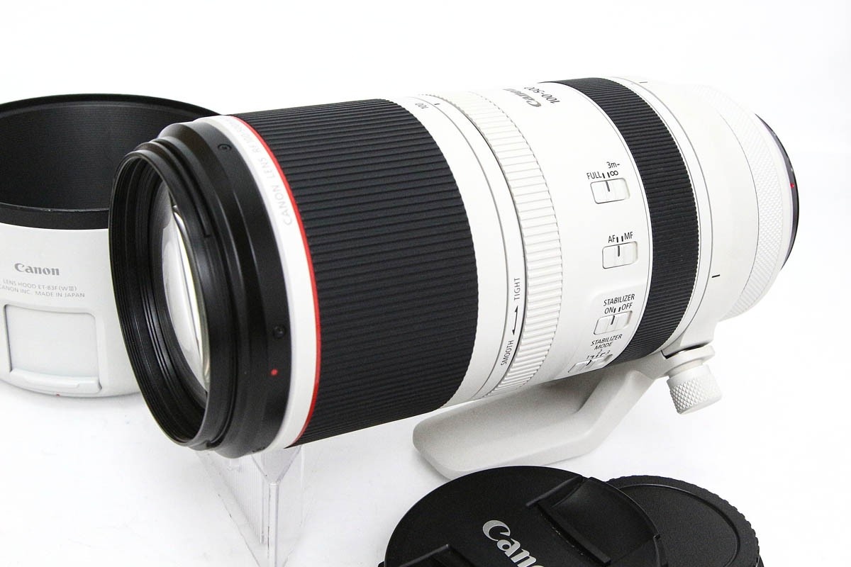 RF100-500mm F4.5-7.1 L IS USM CA01-R2769-2B1