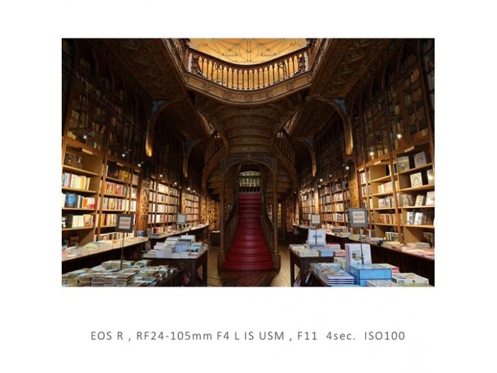 RF24-105mm F4L IS USM 新品