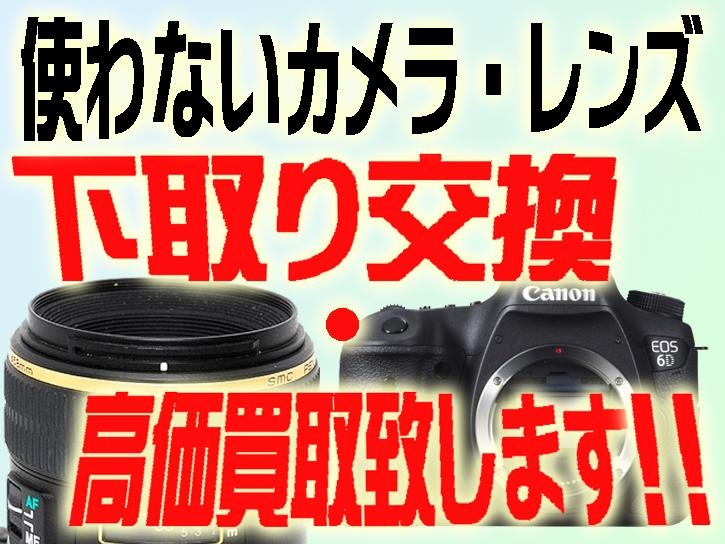 67用固定ピントフード