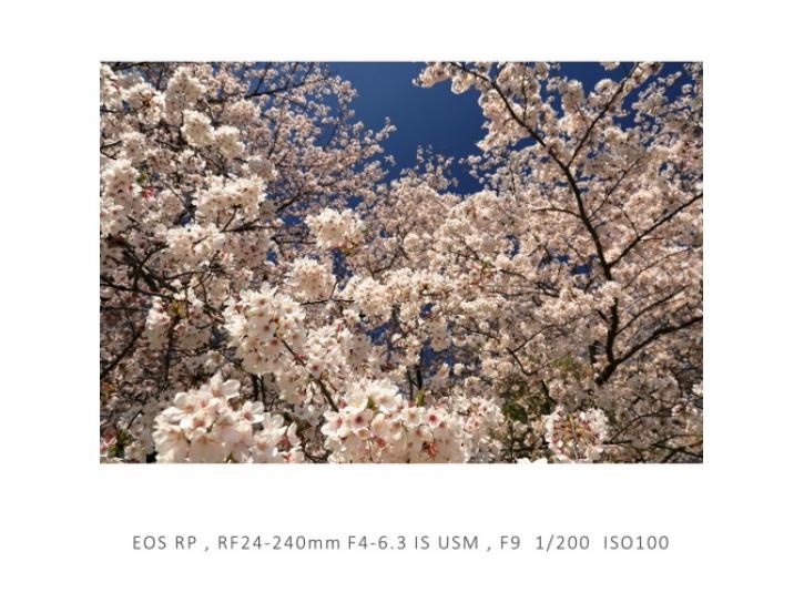 RF24-240mm F4-6.3 IS USM 新品