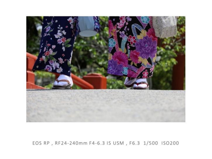 RF24-240mm F4-6.3 IS USM 新品