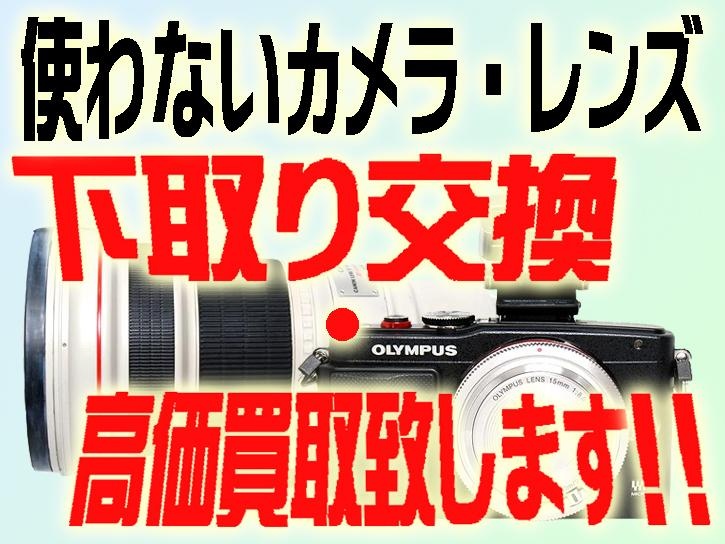 New FD50/3.5 マクロ + エクステンションチューブFD25