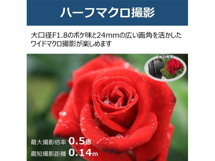 RF24mm F1.8 MACRO IS STM 新品