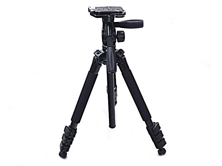 ELカルマーニュ 545