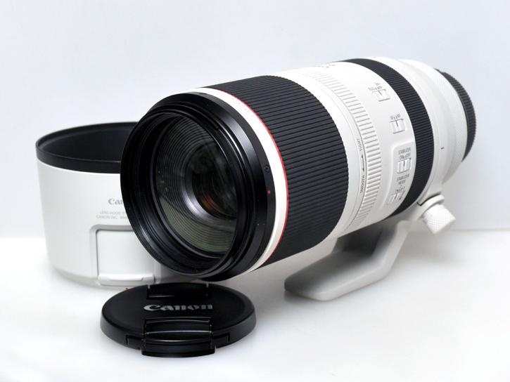 RFレンズ RF100-500mm F4.5-7.1 L IS USM