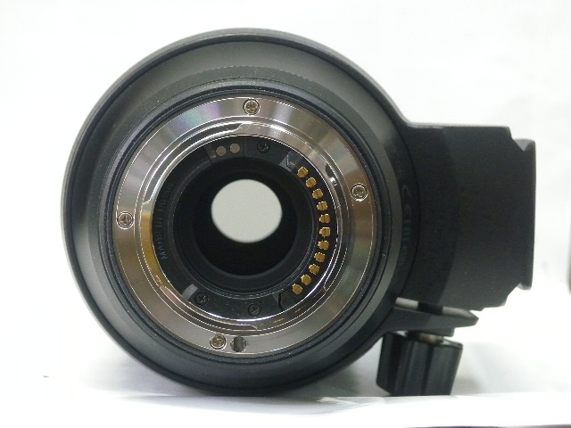 MズイコーDED100-400F5-6.3ISPRO