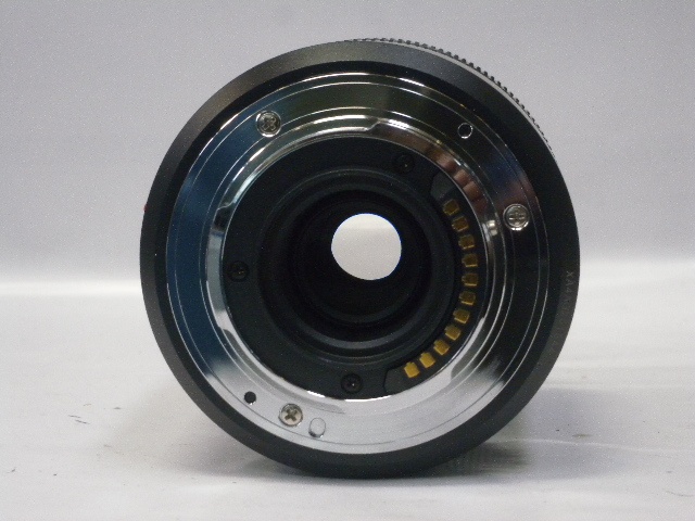 DC-G100DW (G100Wズームキット)